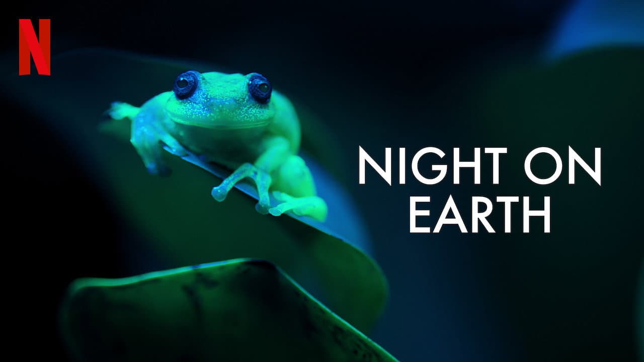 Night on Earth — backdrops with title 1