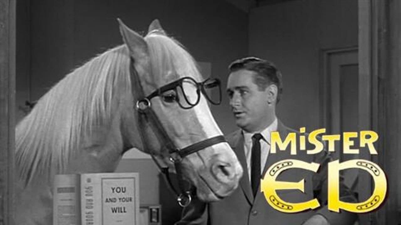 Mister Ed — backdrops with title 1