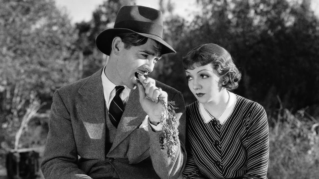 It Happened One Night — backdrops 3