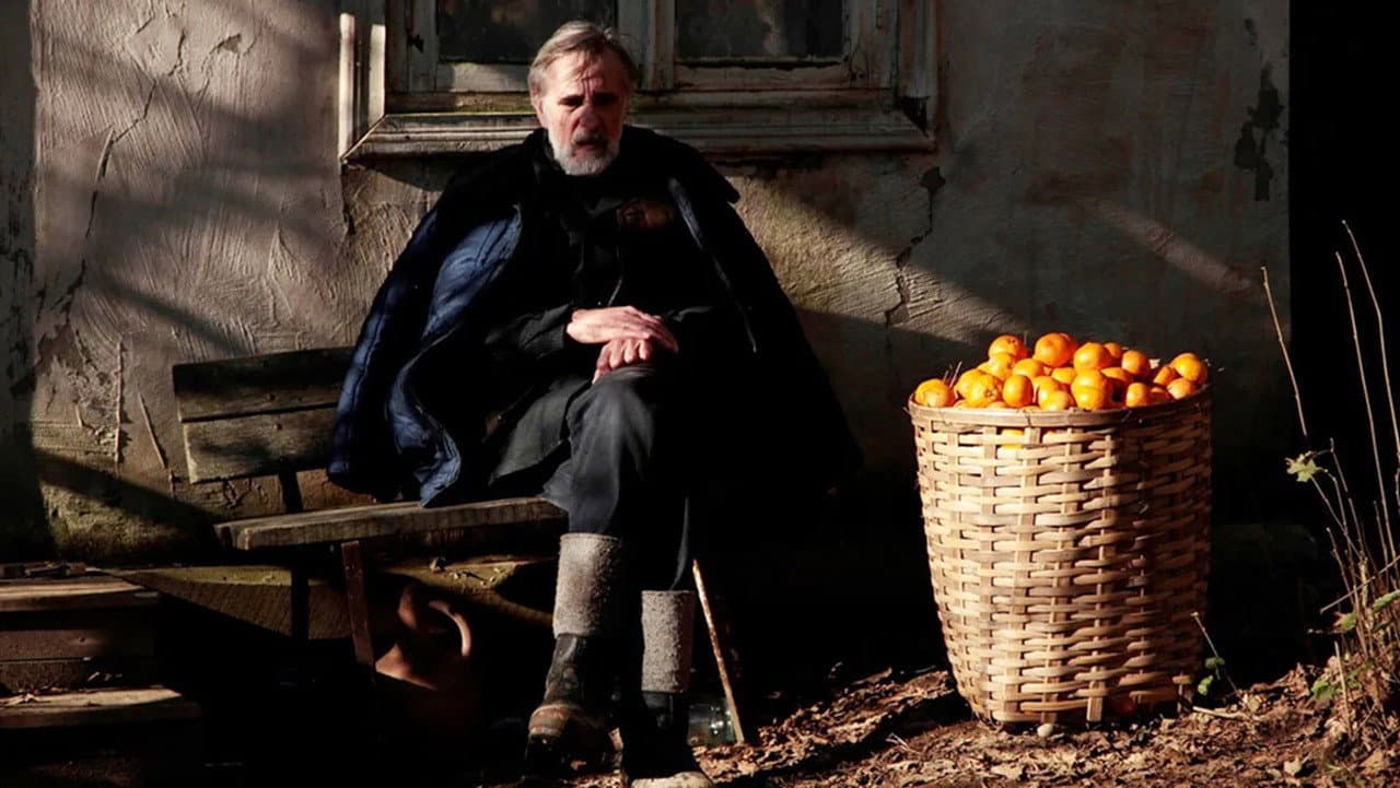 Tangerines — backdrops 2