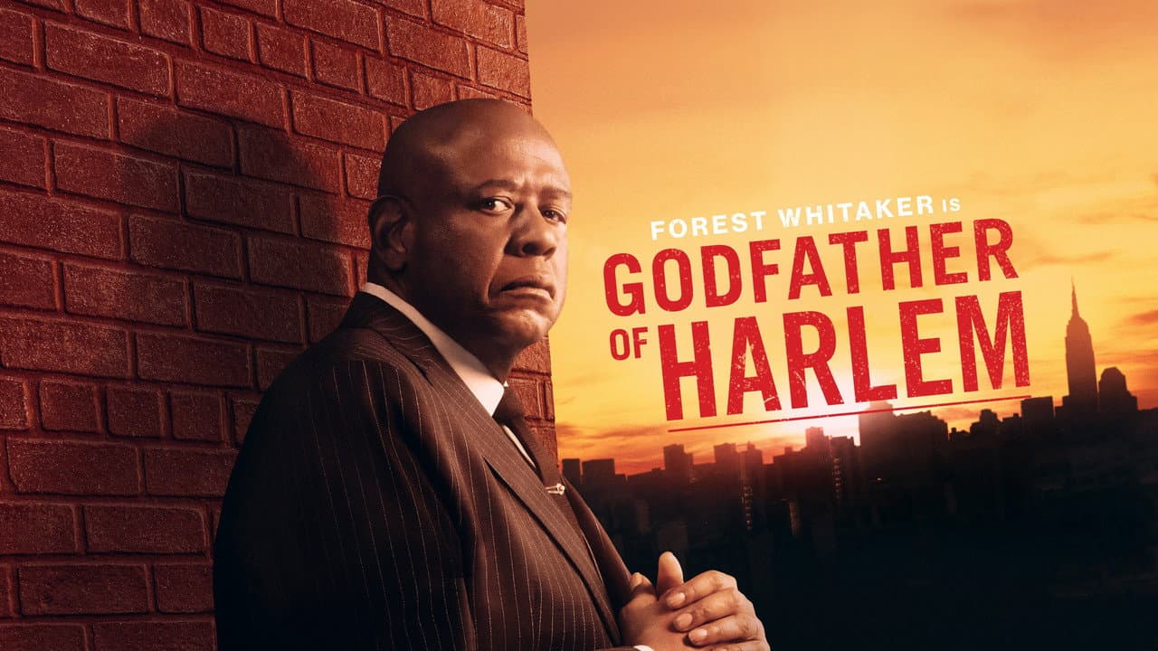 Godfather of Harlem — backdrops with title 7