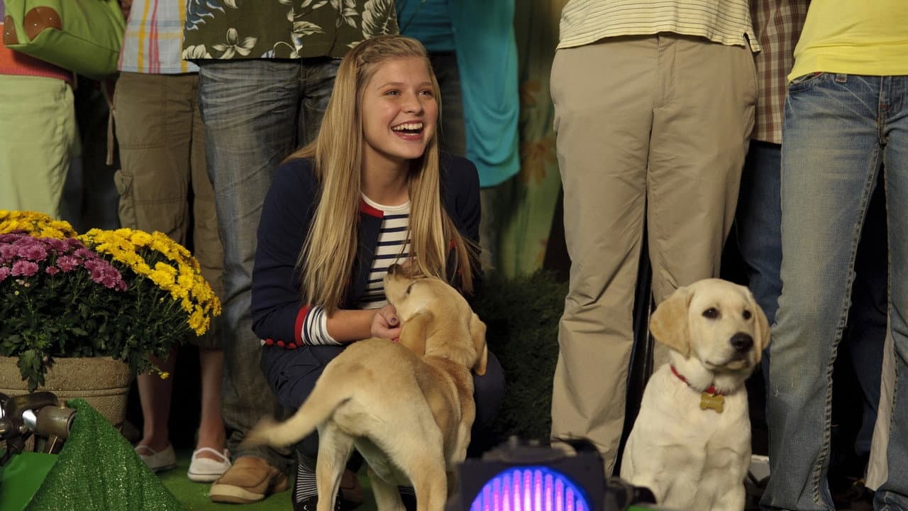 Marley & Me: The Puppy Years — backdrops 4