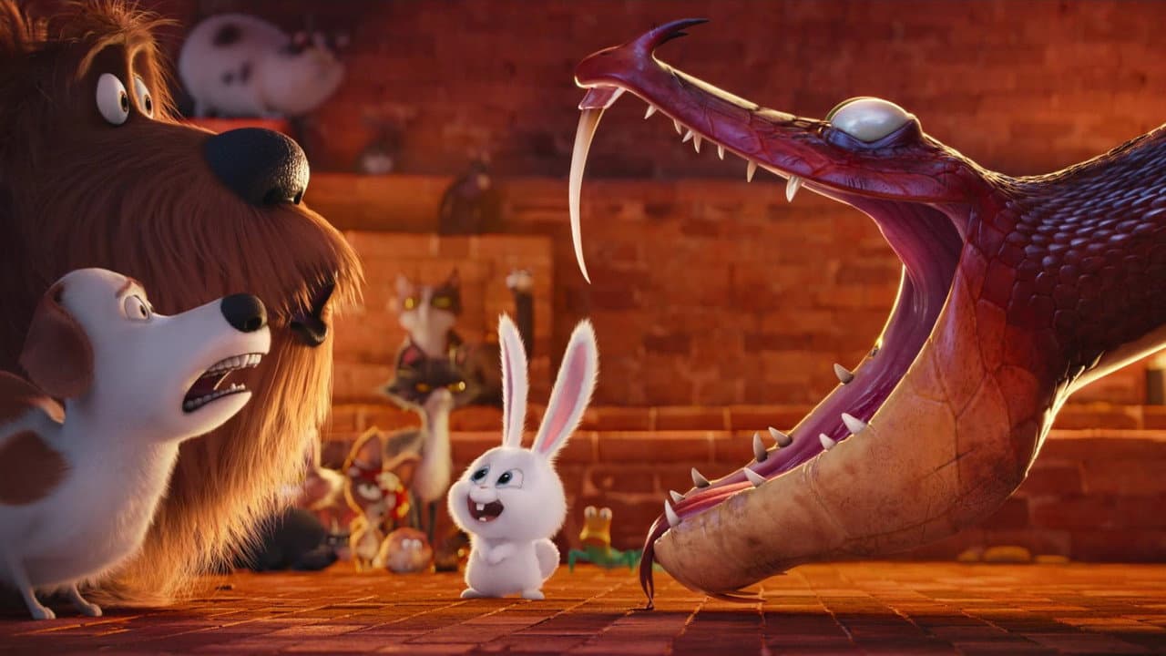 The Secret Life of Pets — backdrops 7