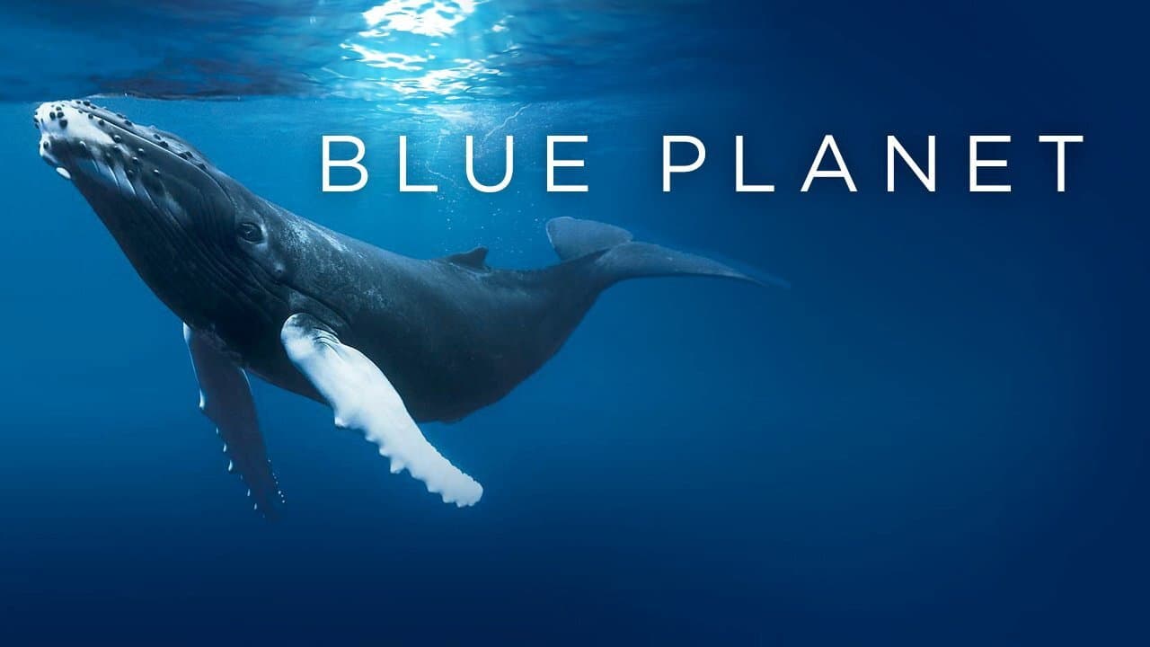The Blue Planet — backdrops with title 1