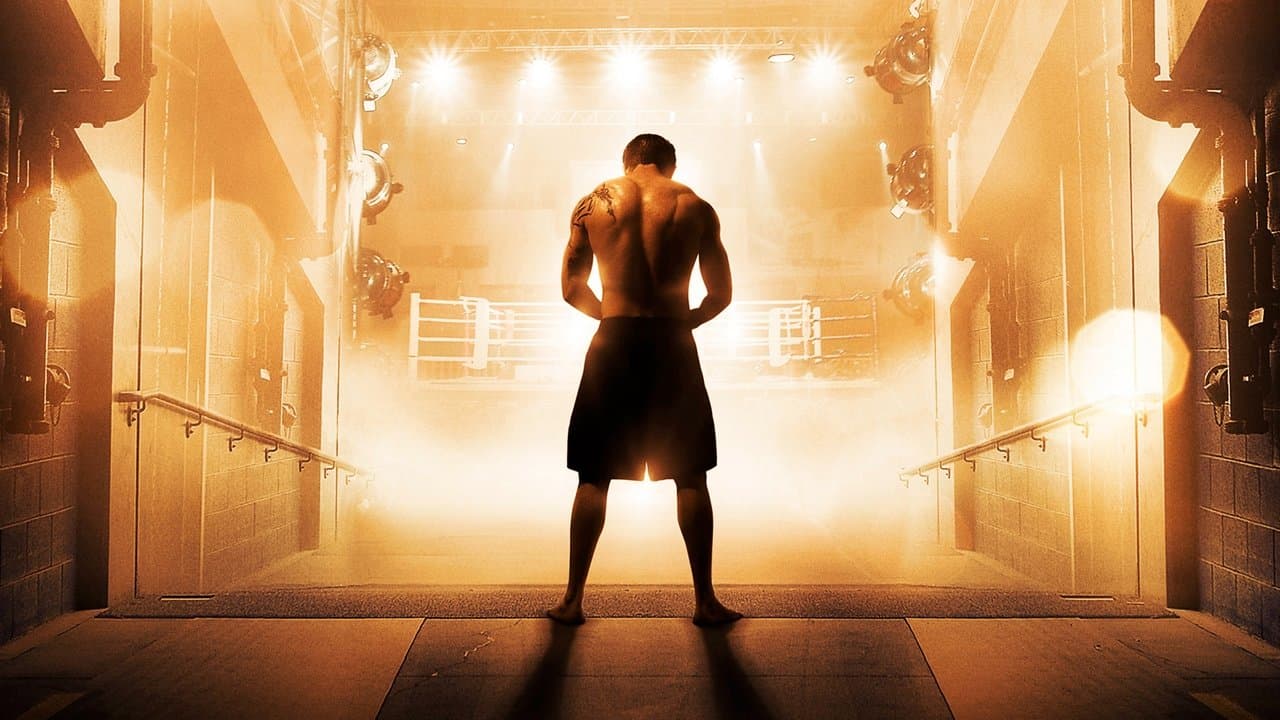 Warrior — backdrops 1