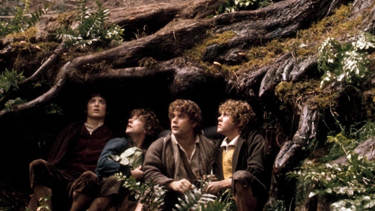 The Lord of the Rings: The Fellowship of the Ring — backdrops 4