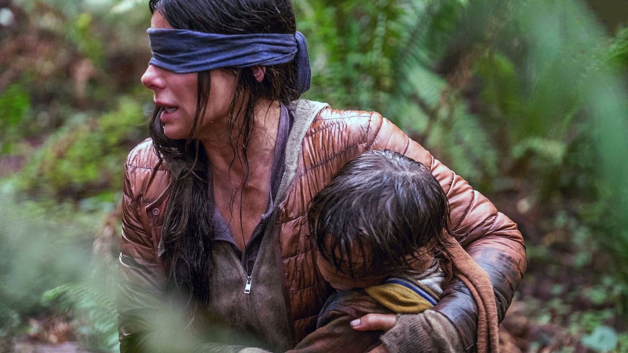 Bird Box — backdrops 6