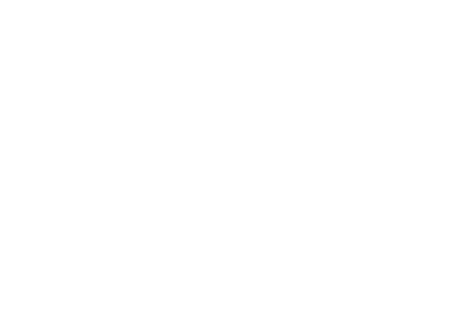 Alya Sometimes Hides Her Feelings in Russian — logos 3
