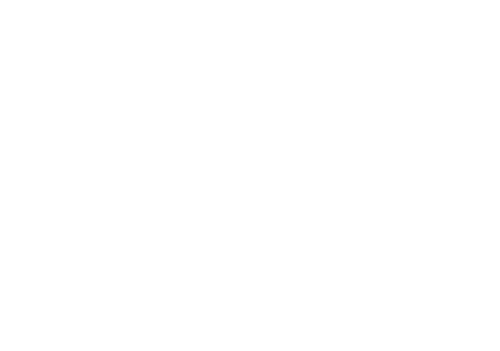 The Flash — logos 2