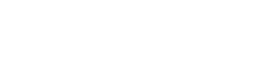 Vampire Academy — logos 3