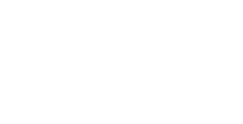 Reno 911! — logos 2