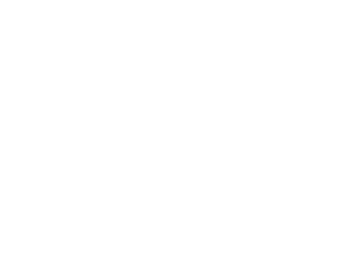 Swiss Army Man — logos 3
