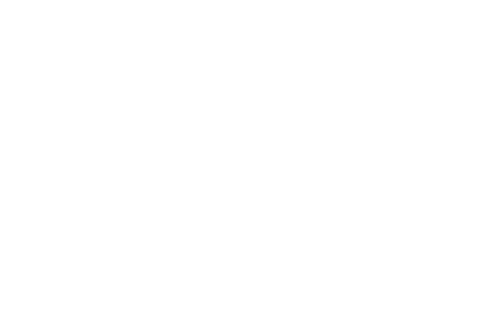 Silver Linings Playbook — logos 2