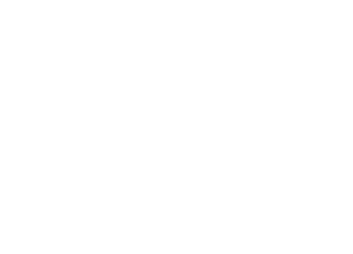 Togo — logos 2