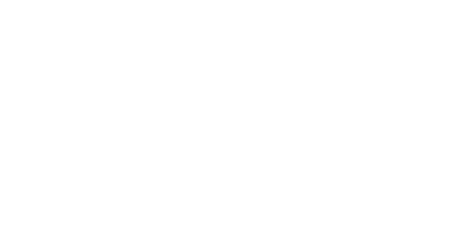 Lone Survivor — logos 3