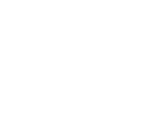 Ip Man 3 — logos 4
