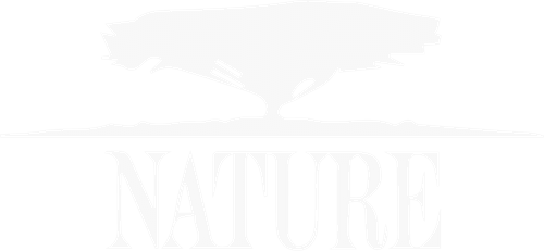 Nature — logos 2