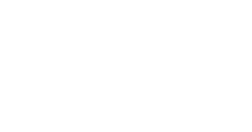 Napoleon — logos 3
