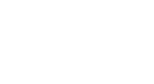 Silver Linings Playbook — logos 6