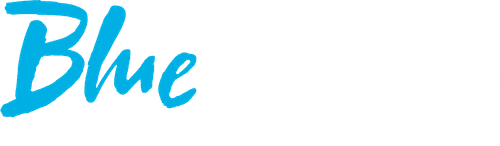 Blue Is the Warmest Color — logos 5