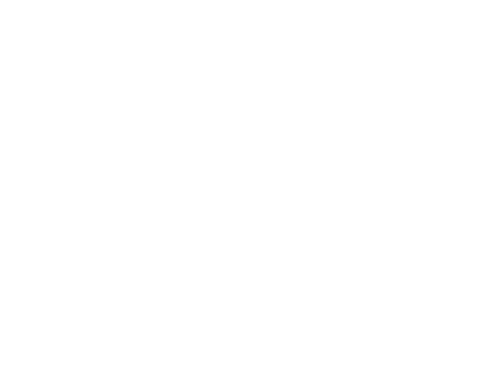 The Super Mario Galaxy Movie — logos 4