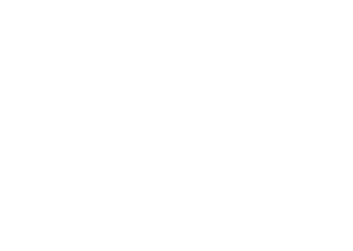 The Peanut Butter Falcon — logos 8