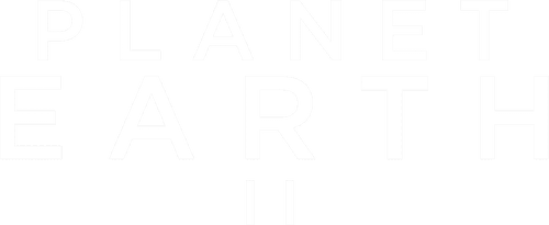 Planet Earth II — logos 7