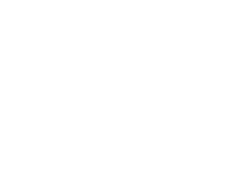 Summer Camp Island — logos 4