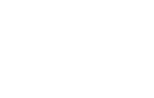 The Purge: Anarchy — logos 2
