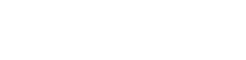 The Fighter