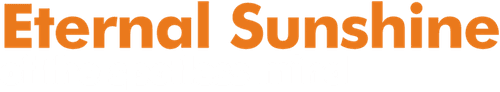 Eternal Sunshine of the Spotless Mind — logos 4