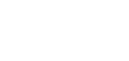 Anora — logos 5