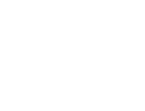 The Amazing Race — logos 2