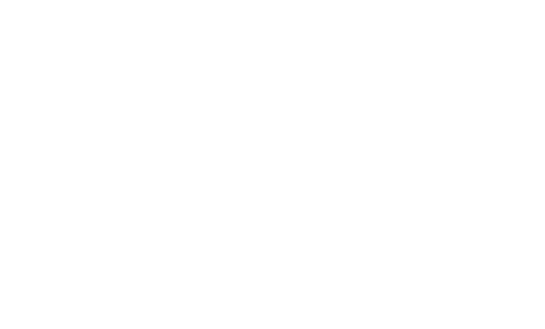Ned's Declassified School Survival Guide — logos 2