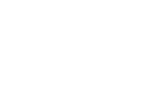 Bridget Jones: The Edge of Reason — logos 4