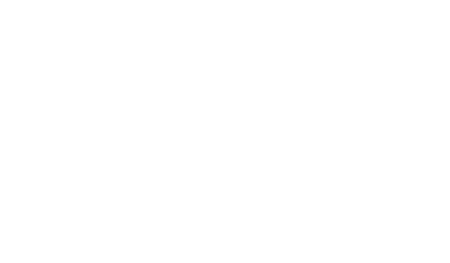 The Bling Ring — logos 5