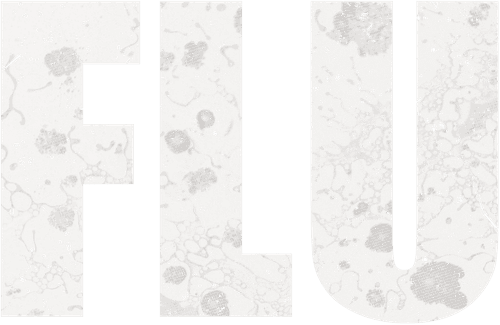 The Flu — logos 3