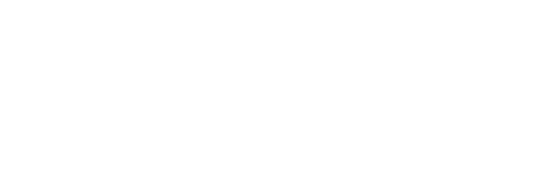 The Fast and the Furious — logos 8