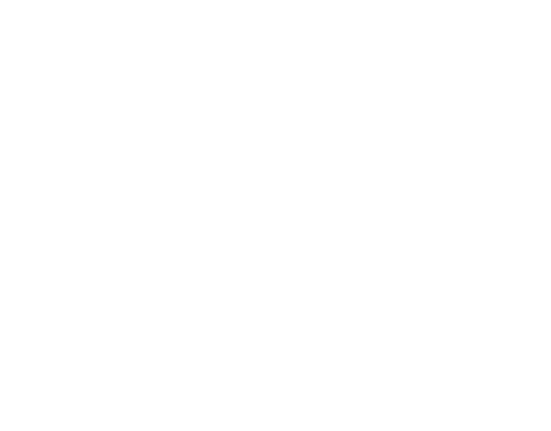 Fight or Flight — logos 4
