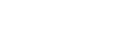 The Lion Guard — logos 4