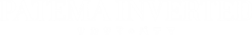 Patema Inverted — logos 2