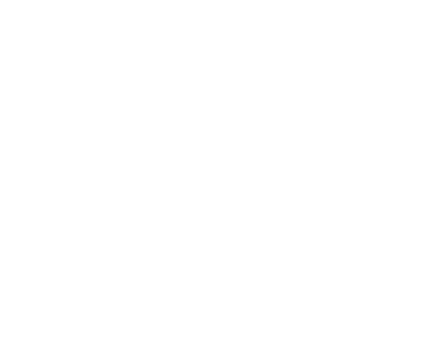 La promesa