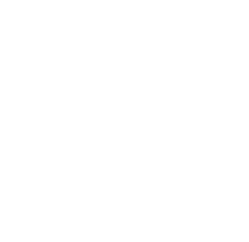 Finding Emily — logos 2