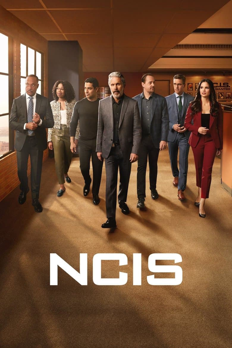 NCIS — posters 2