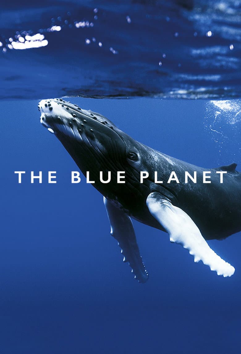 The Blue Planet — posters 5