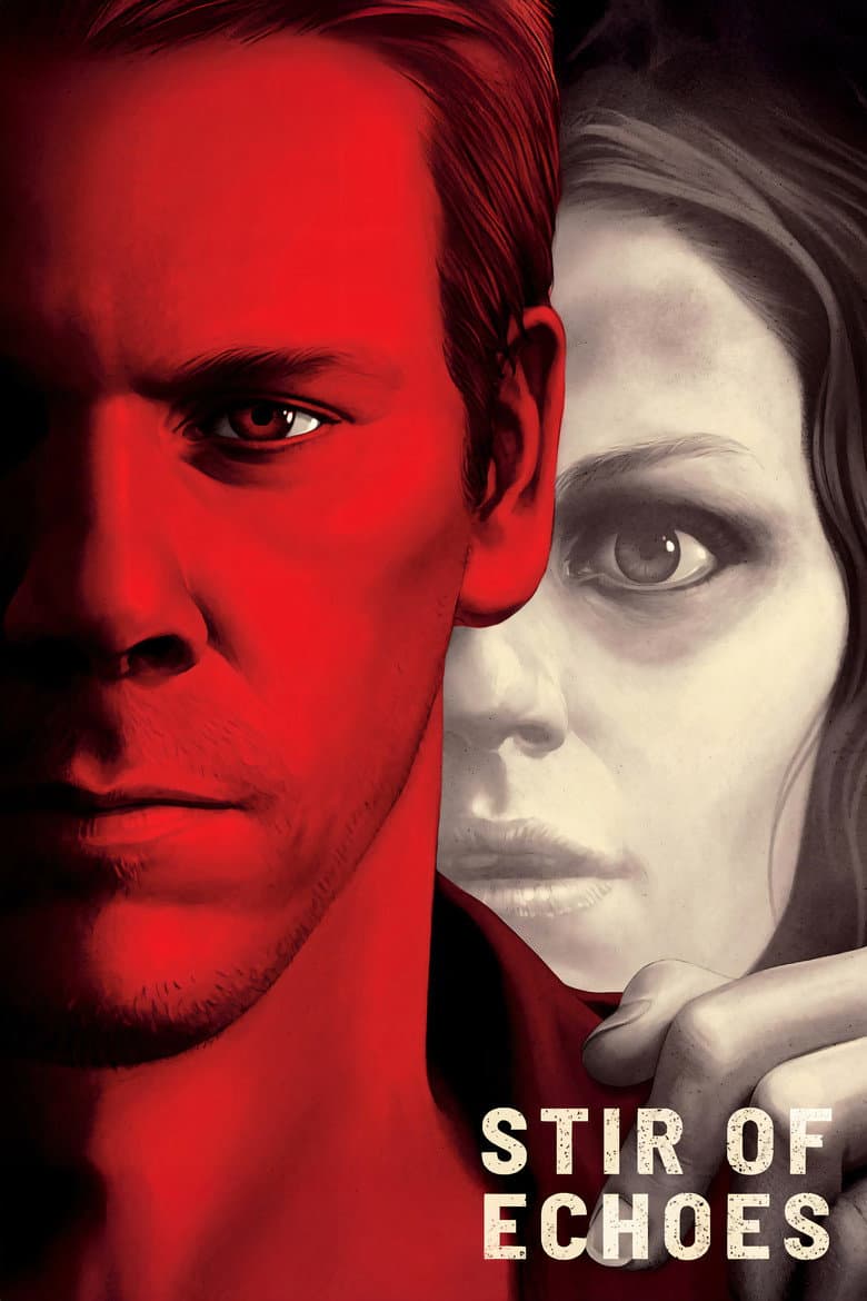 Stir of Echoes — posters 7