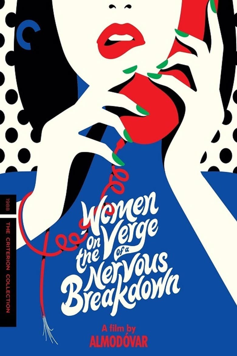 Women on the Verge of a Nervous Breakdown — posters 7