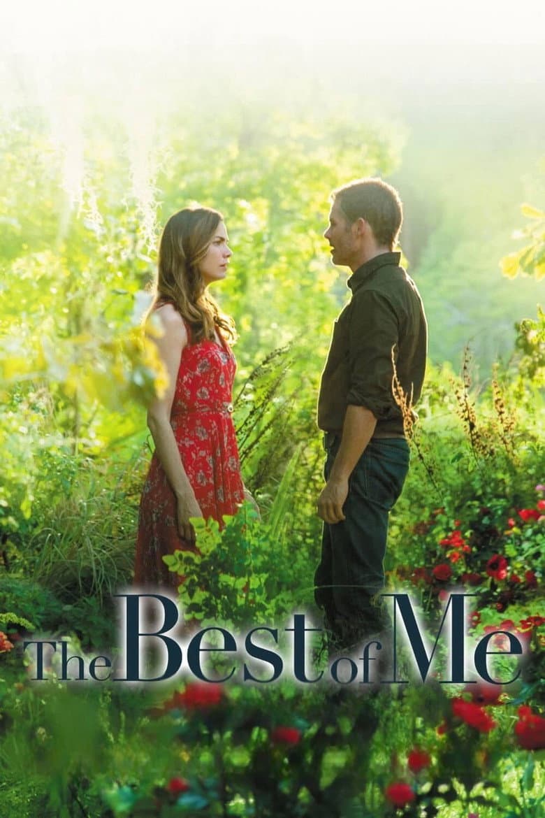 The Best of Me — posters 7