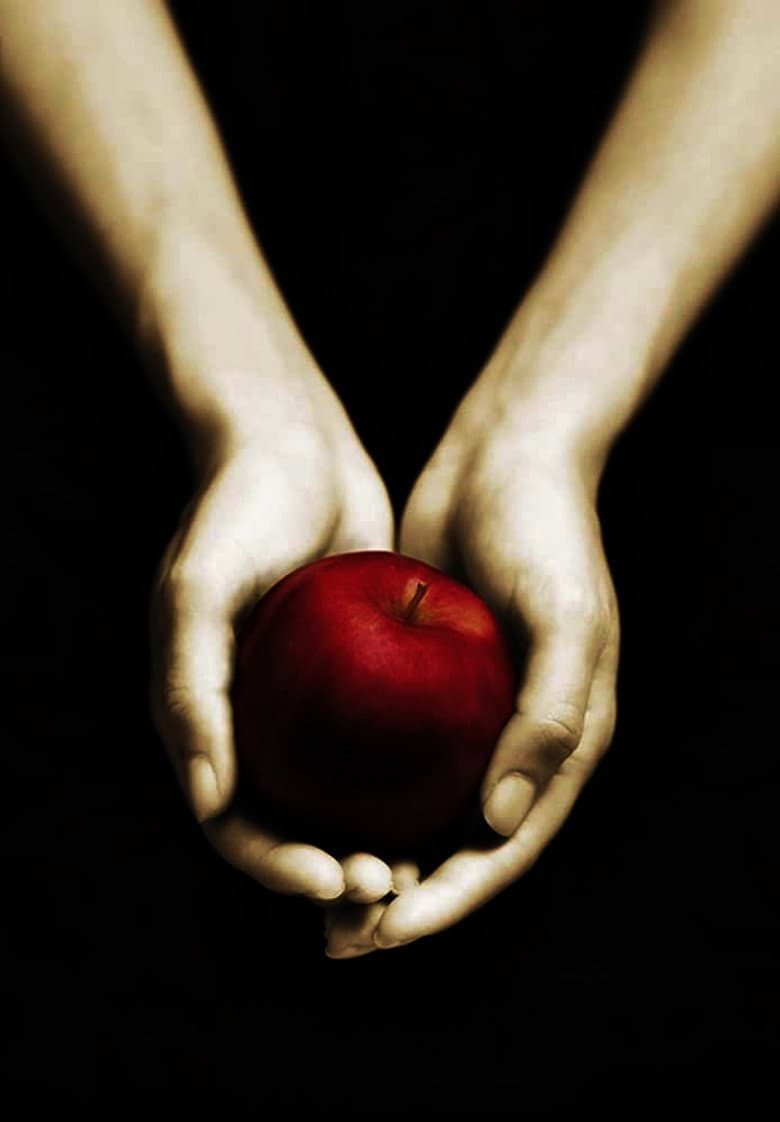 Twilight — posters 6