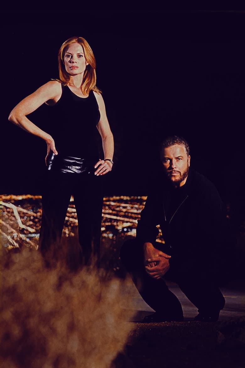CSI: Crime Scene Investigation — posters 3